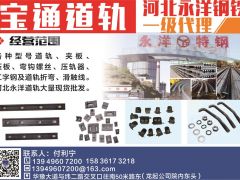寶通道軌河北永洋鋼鐵一級(jí)代理已加入《起重匯采購(gòu)指南》！