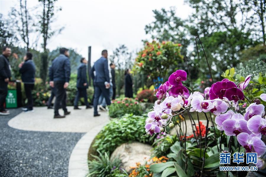 （圖文互動(dòng)）（5）以自然之道，養(yǎng)萬(wàn)物之生——第四屆中國(guó)綠化博覽會(huì)亮點(diǎn)掃描