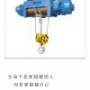 東莞黃江防爆電動(dòng)葫蘆銷(xiāo)售安裝廠家維修