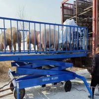 河南升降平臺(tái)廠家、轉(zhuǎn)豬臺(tái)、升降平臺(tái)銷售